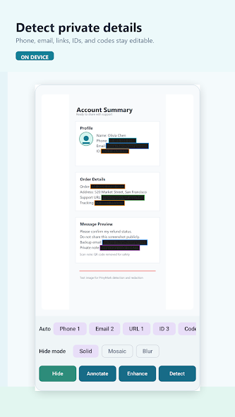 PrivyMark detecting private details in an account summary